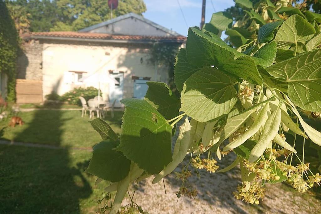 Saint-Romain  Entire Apartment With Swimming Pool Near Aubeterre מראה חיצוני תמונה