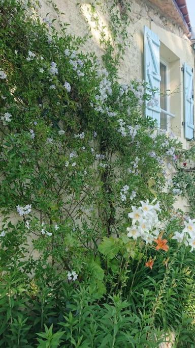 Saint-Romain  Entire Apartment With Swimming Pool Near Aubeterre מראה חיצוני תמונה