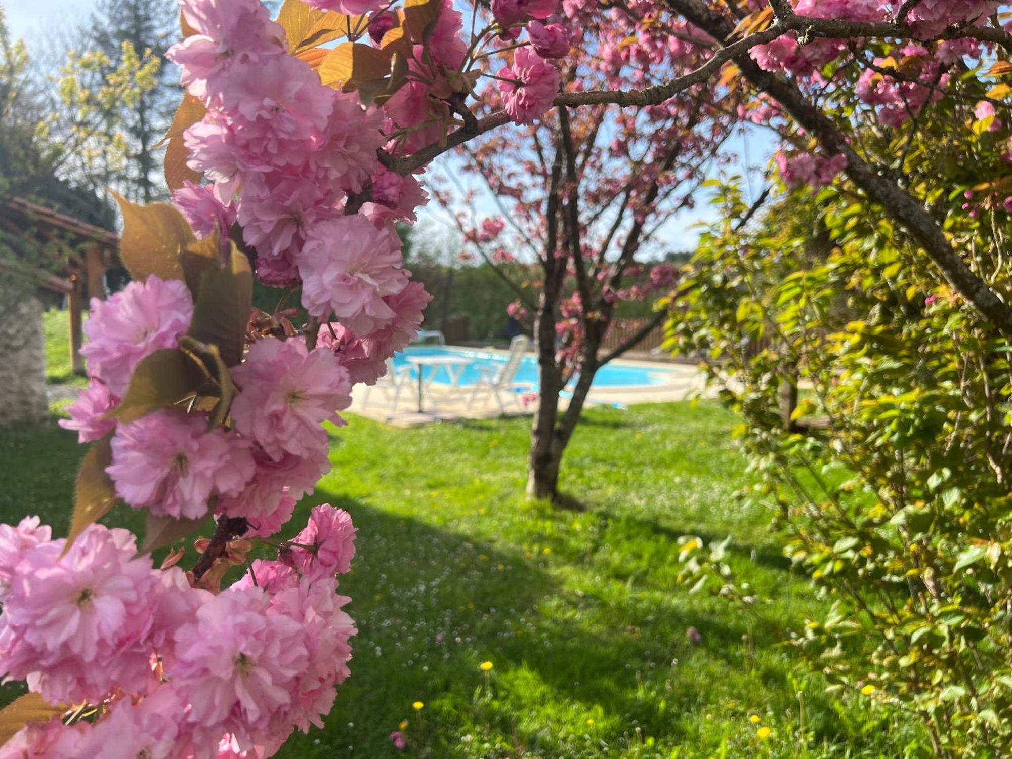 Saint-Romain  Entire Apartment With Swimming Pool Near Aubeterre מראה חיצוני תמונה