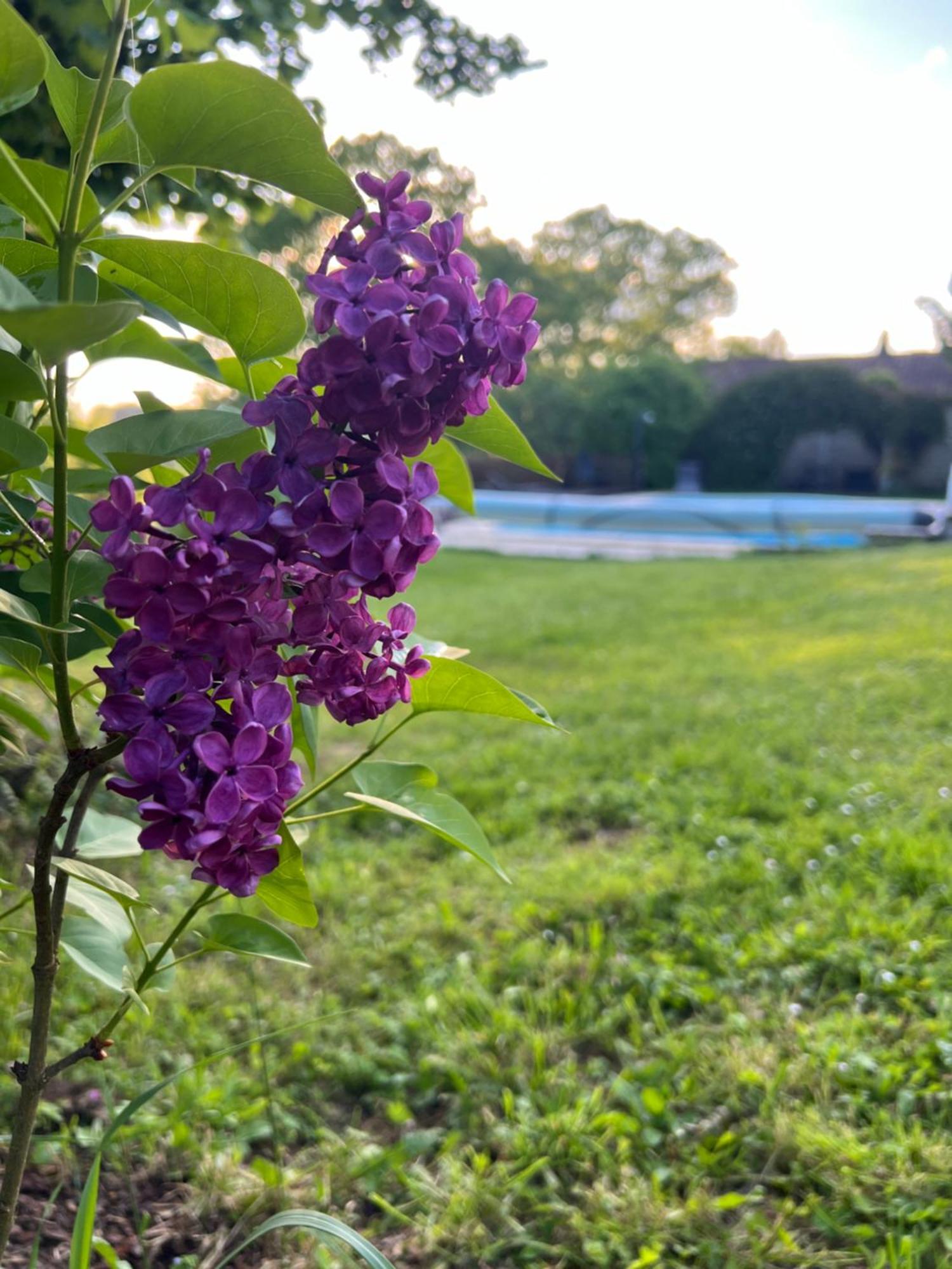 Saint-Romain  Entire Apartment With Swimming Pool Near Aubeterre מראה חיצוני תמונה